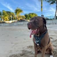 Photo of Peeka