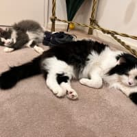 Photo of Barney And Wynstan