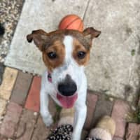 Photo of Miss Odie