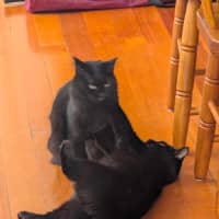 Photo of Thunder And Storm