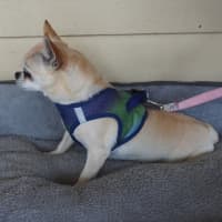 Photo of Fleur