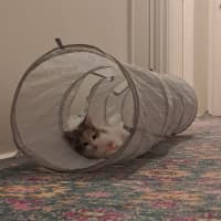 Photo of Maggie