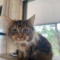 Photo of Astra 
