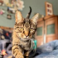 Photo of Ricky