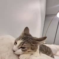 Photo of Fifi
