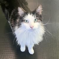 Photo of Bethie
