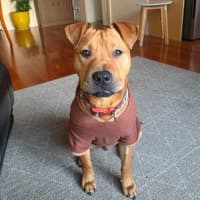 Photo of Tyson