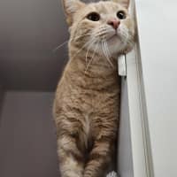 Photo of Bobby