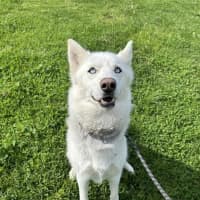Photo of Bella