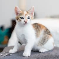 Photo of Squeak