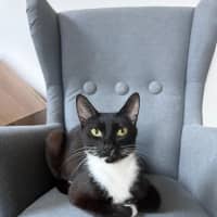 Photo of Sandy