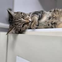 Photo of Bilbo