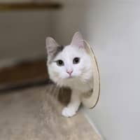 Photo of Tilly