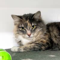 Photo of Beth Sta012910