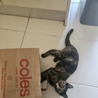 Photo of Jane (Now Maggie)