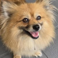 Photo of Coco