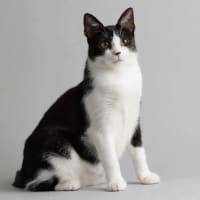 Photo of Kiki