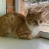 Photo of Thelma