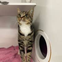 Photo of Suzi