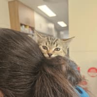 Photo of Margot   Located In Templestowe