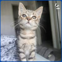 Photo of Bug