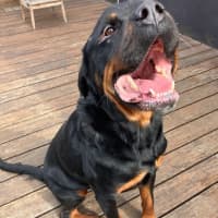 Photo of Zeus