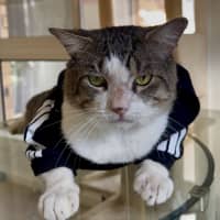 Photo of Hermes