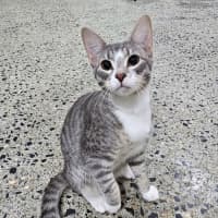 Photo of Mister