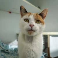 Photo of Bingo