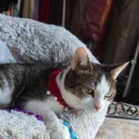 Photo of Molly / Milly