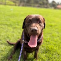 Photo of Aero