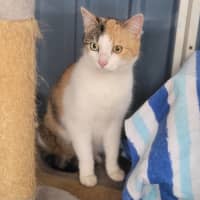 Photo of Maggie