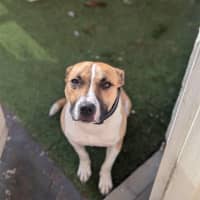 Photo of Rosemary Kumara