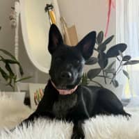 Photo of Felice (Astrid)