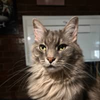 Photo of Pierre