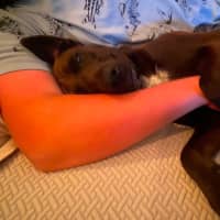 Photo of Bonnie