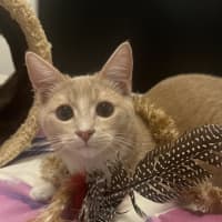 Photo of Captain Colin