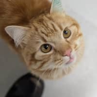 Photo of 🎃 Jonesy 6455 🎃