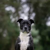Photo of Snoop