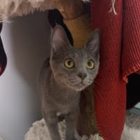 Photo of Hermes
