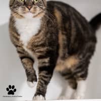 Photo of Laverne