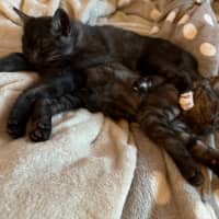 Photo of Danny (With Kenickie)