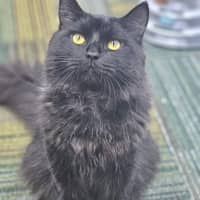 Photo of Hobie