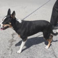 Photo of Tia