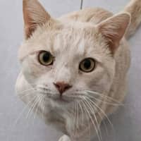 Photo of Thor