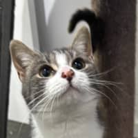 Photo of Sylvie 🌷