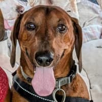 Photo of Harry / Sally