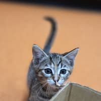Photo of Lorelai