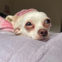 Photo of Barbie