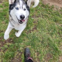 Photo of Flash (52370)